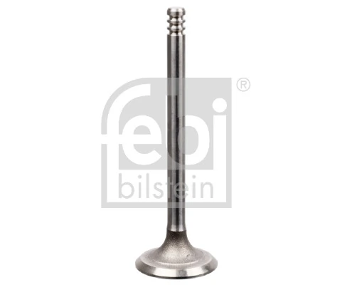 Intake Valve